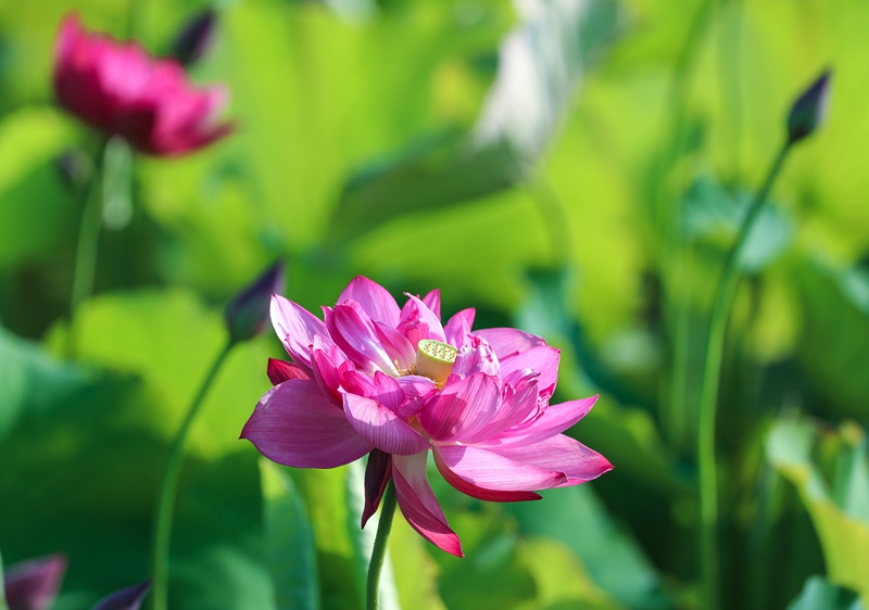 BG8I7153.jpg BG8I7153.jpg