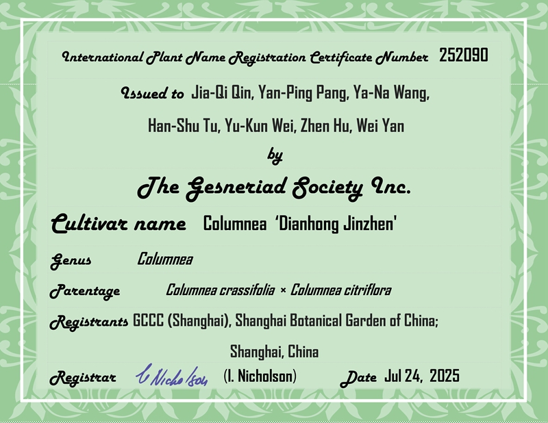 IR_Certificate_252090_Columnea Dianhong Jinzhen.jpg