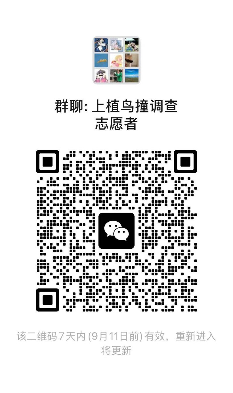 志愿者群.jpg