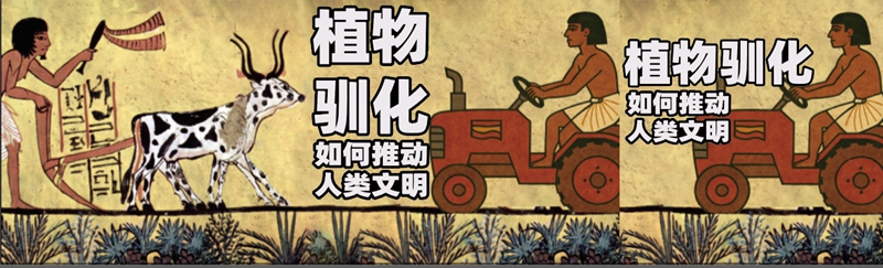 封面.jpg