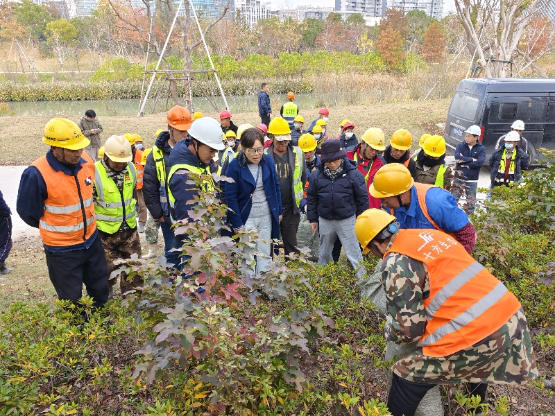 方海兰教授现场指导覆盖物铺盖.jpg 方海兰教授现场指导覆盖物铺盖.jpg