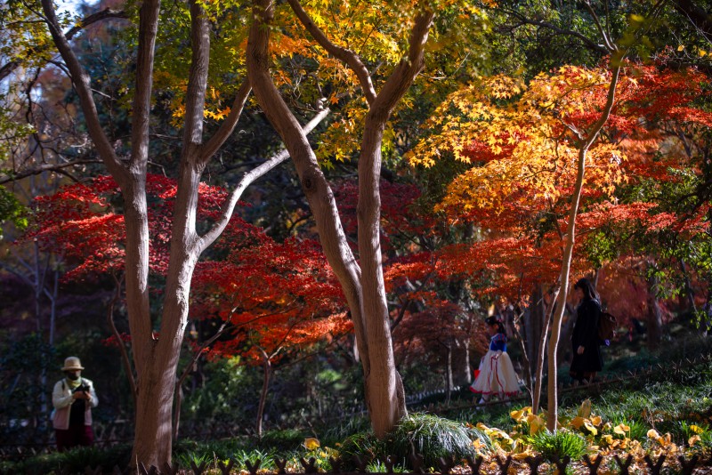 DSC_9132.jpg DSC_9132.jpg