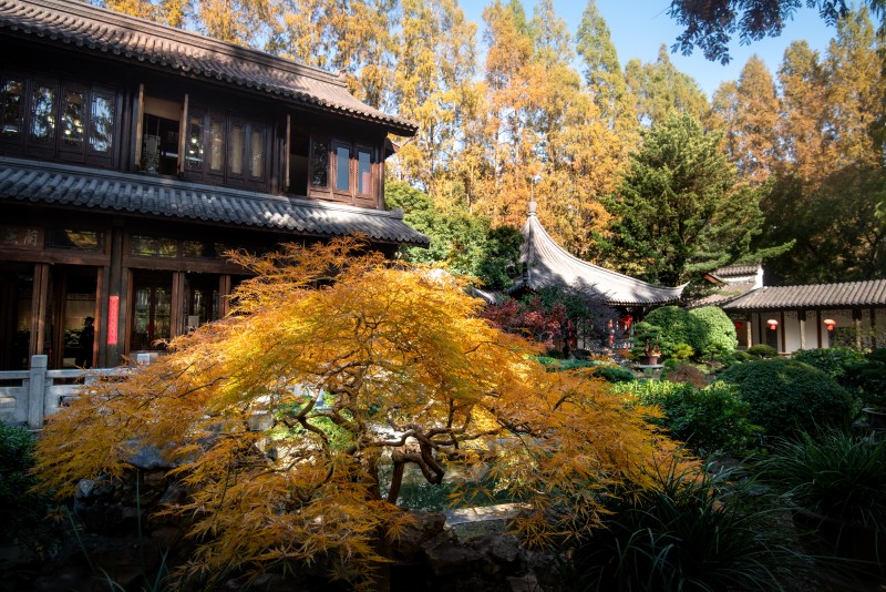 DSC_2255.jpg DSC_2255.jpg