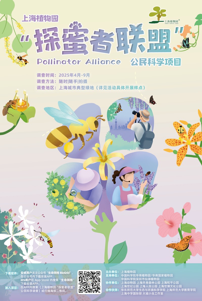 海报.jpg 海报.jpg