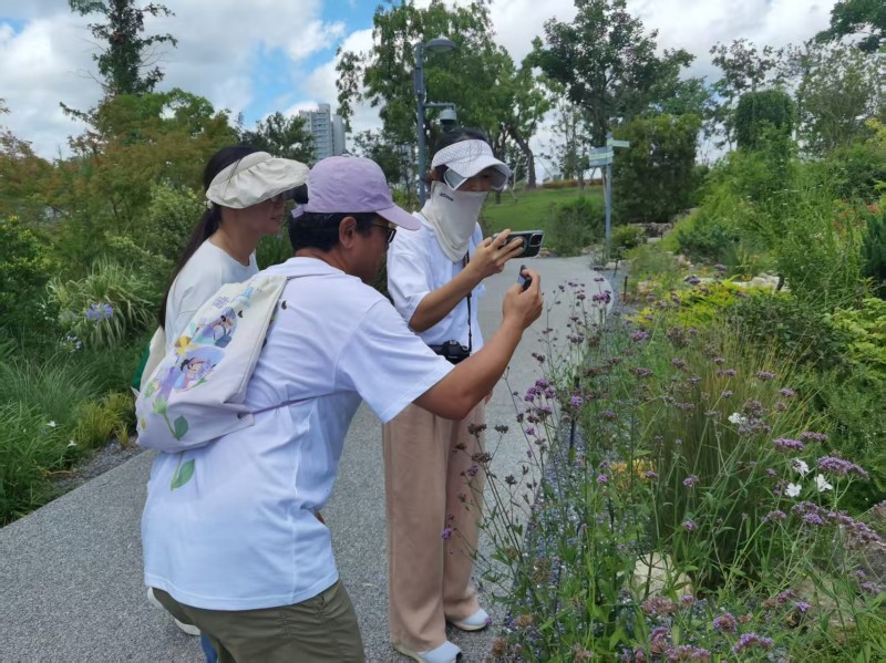 样线调查-1(拼一下).jpg 样线调查-1(拼一下).jpg