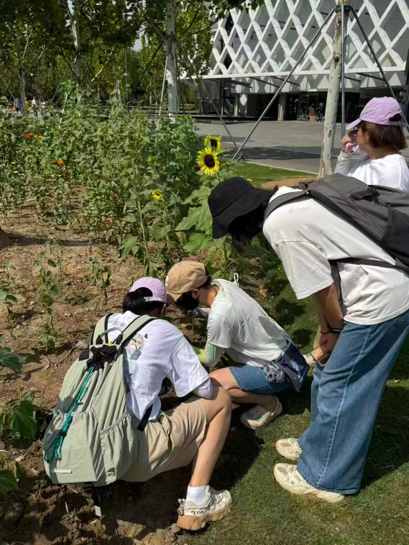 样线调查-2(拼一下).jpg 样线调查-2(拼一下).jpg