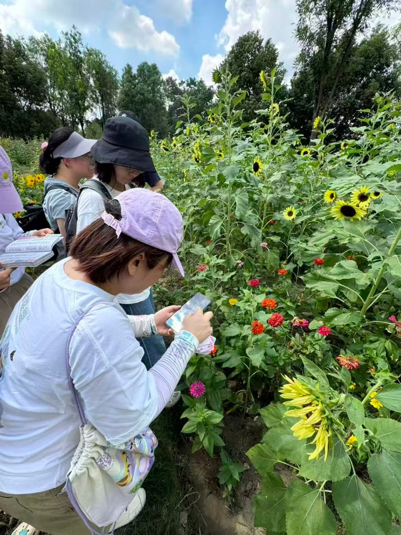 样线调查-3(拼一下).jpg 样线调查-3(拼一下).jpg